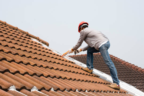 Fast & Reliable Emergency Roof Repairs in Roodhouse, IL