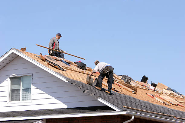 Roof Coating Services in Roodhouse, IL
